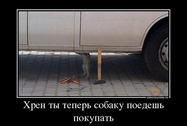 автоприколы2.jpg