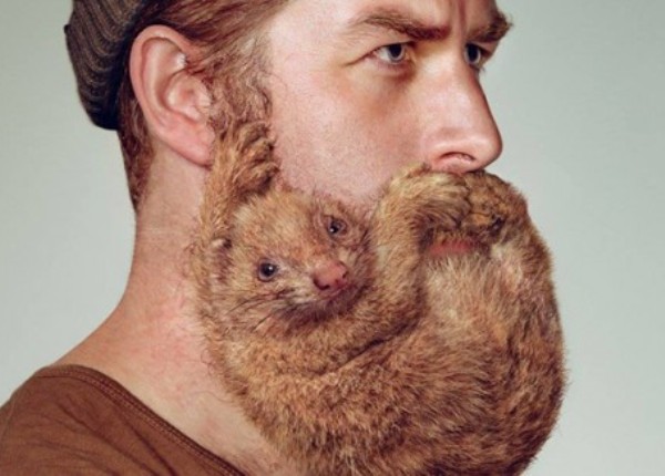 1-Funny-Beard-animal.jpg