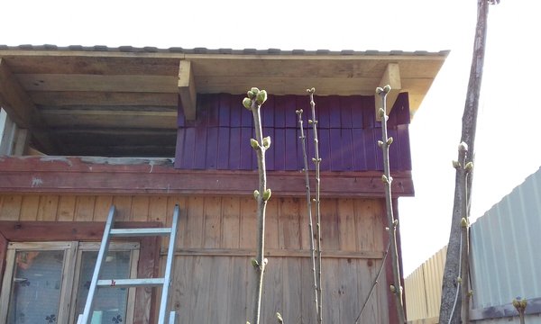 20170412_151911.jpg