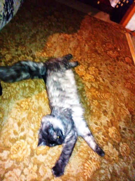 IMG_20160203_235916.jpg (879.17 КБ) 13782 просмотра IMG_20160203_235916.jpg