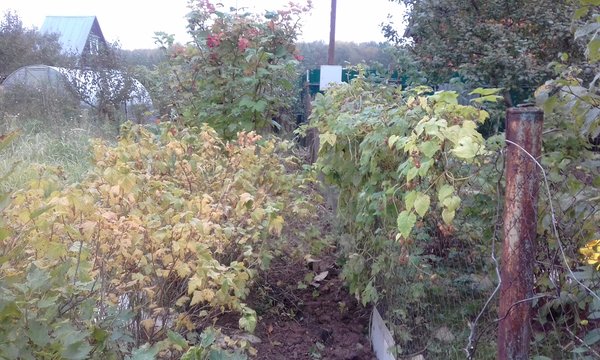 20171003_084033.jpg