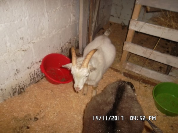 SAM_0868.JPG (265.05 КБ) 14963 просмотра SAM_0868.JPG