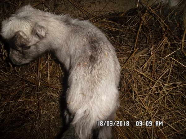 SAM_1098.JPG (303.23 КБ) 6928 просмотров SAM_1098.JPG