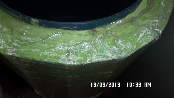 SAM_1494.JPG (509.07 КБ) 8153 просмотра SAM_1494.JPG