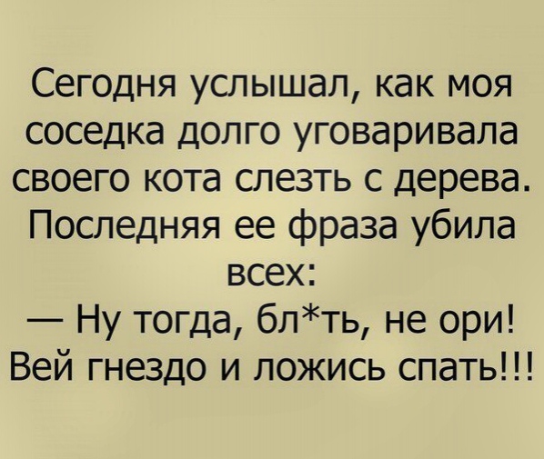%D0%B8%D0%B7%D0%BE%D0%B1%D1%80%D0%B0%D0%B6%D0%B5%D0%BD%D0%B8%D0%B5_viber_2020-01-01_15-49-01%20%281%29[1].jpg