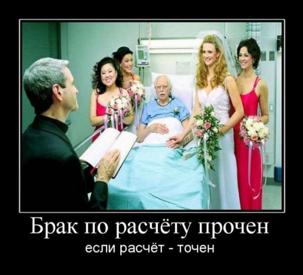 2ad06e8772b9[1].jpg
