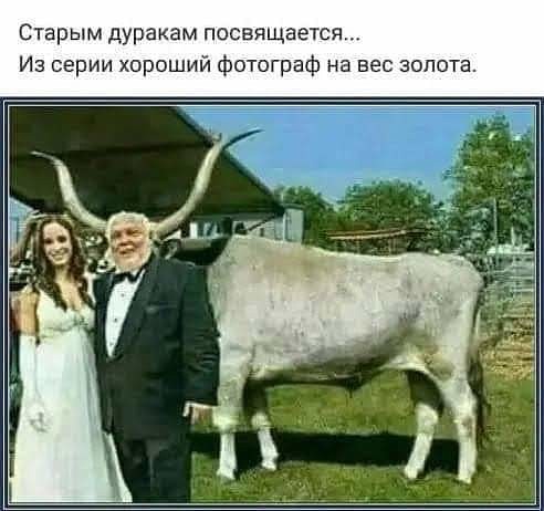 -fIvRqZtU74[1].jpg