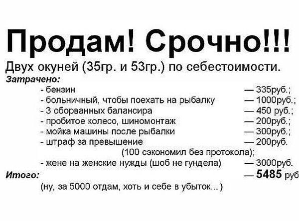 PMa5Dag9iBI[1].jpg