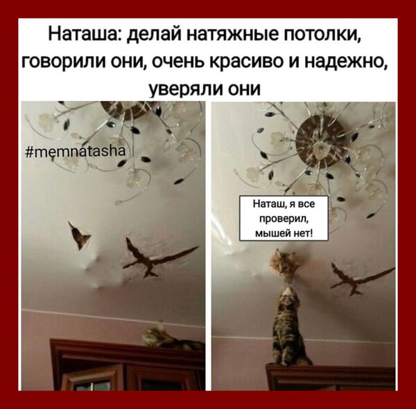 baa1409e7d39c56d85fa9f9a529eceaa4372b6cb7a74c11a8cd2b82c2c2b8976_1[1].jpg