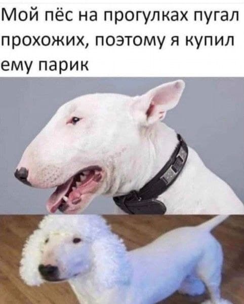 _a-21%20%282%29[1].jpg