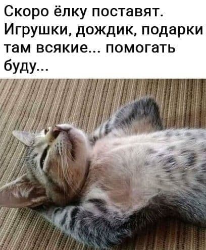 %D0%BD%D0%B3%20photo_2020-11-24_22-31-06[1].jpg