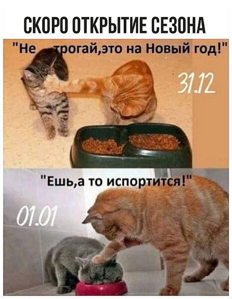 %D0%BD%D0%B361[1].jpg