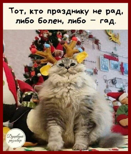 1IMG-a655c6f3fe93159b3d9bd24cac17da87-V[1].jpg